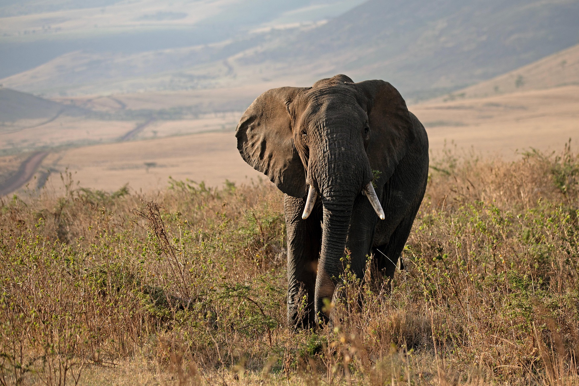 Bespoke East Africa Expedition