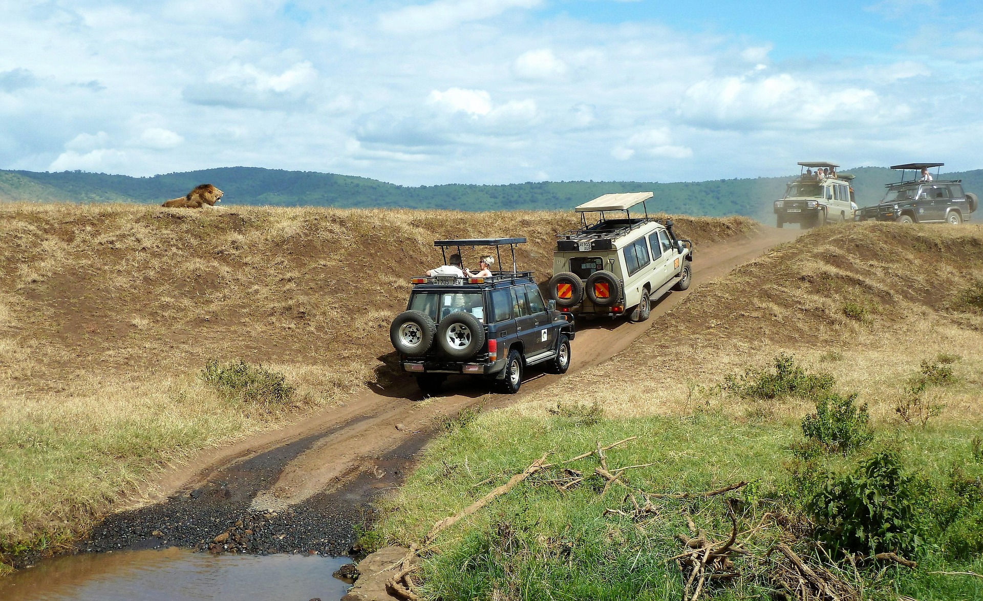 Safari vehicles crossing Tanzania terrain